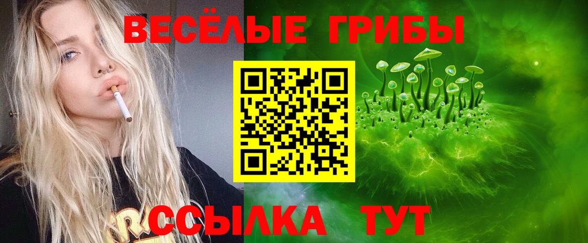 Сызрань  Псилоцибиновые грибы мухоморы  Вход с VPN  Псилоцибиновые грибы прущие грибы 